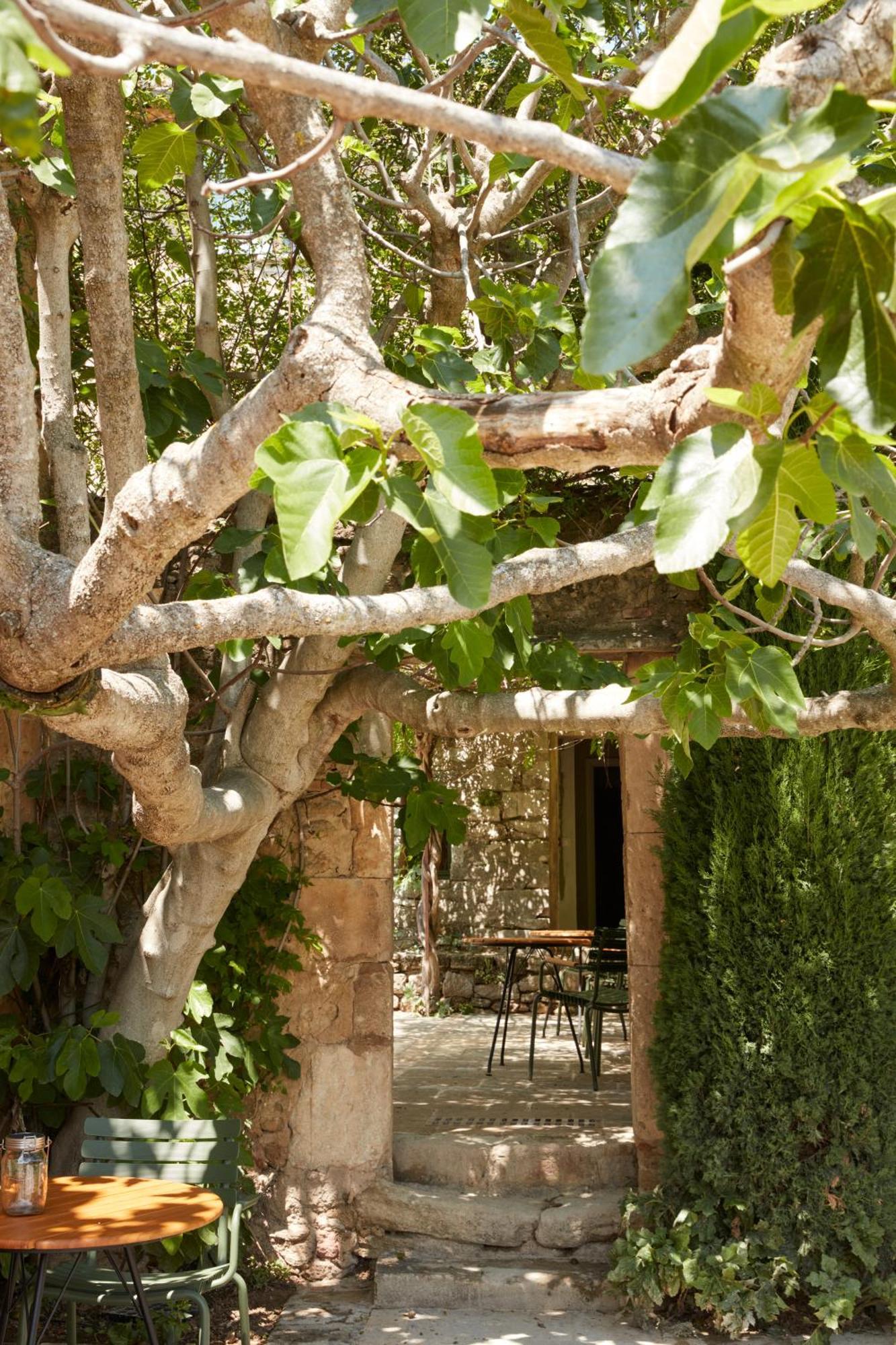La Bastide Du Mourre Bed & Breakfast Oppede Exterior photo